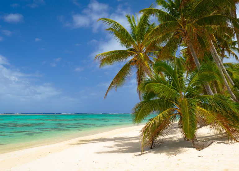 Strand auf Rarotonga mit vielen Palmen und türkisblauem Wasser
