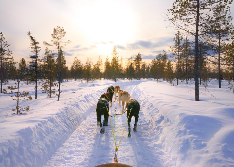 Huskyschlitten mit sechs Huskys fährt bei Sonnenuntergang durch Schnee