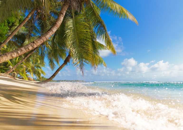 Strand in Madagaskar mit aufbrausendem Wasser und zahlreichen Palmen