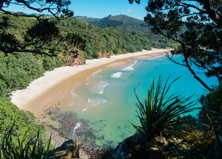 Küste mit blauem Wasser, weißem Strand und Wald im Hintergrund