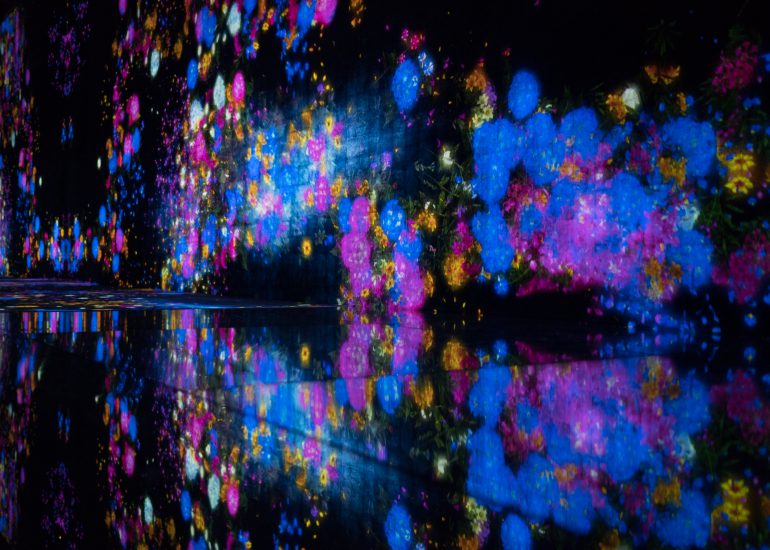 Blumen als Lichtspiegelungen