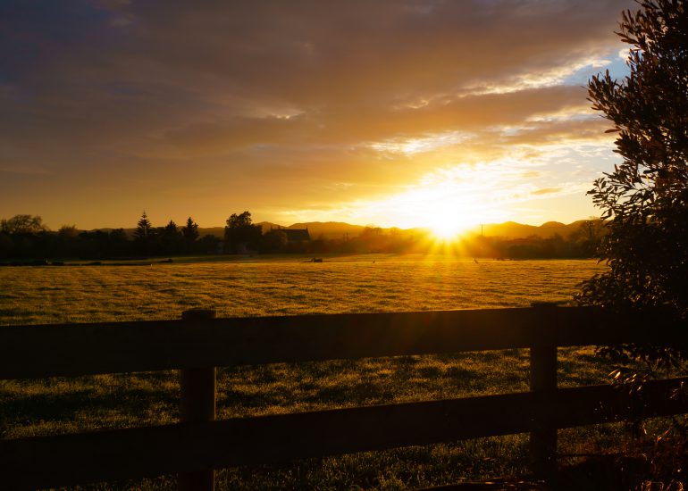 Sonnenuntergang bei fast bedecktem Himmel mit Zaun im Vordergrund