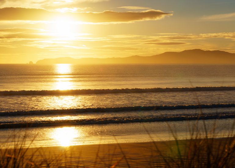 Sonnenuntergang an Küste mit Gräsern im Vordergrund