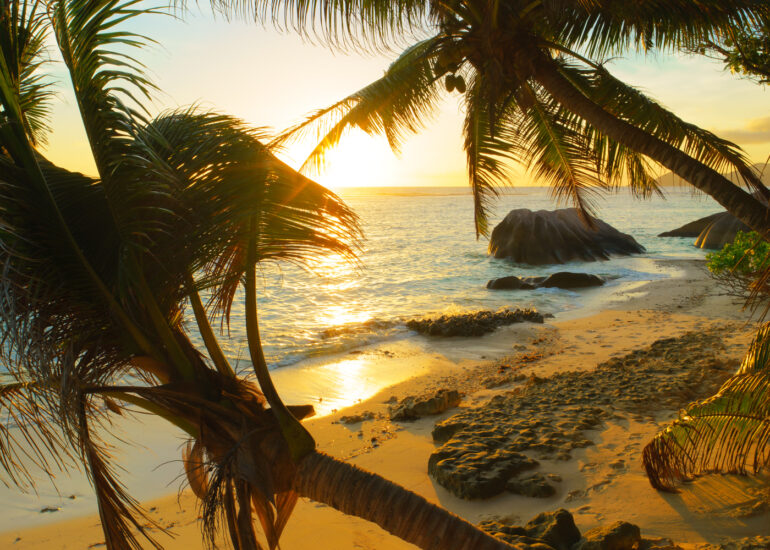 Sonnenuntergang am Strand mit zwei Palmen und orange leuchtendem Strand