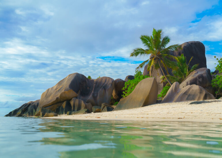 Anse Source d'Argent mit ruhigem Wasser im Vordergrund, Granitfelsen und einer Palme