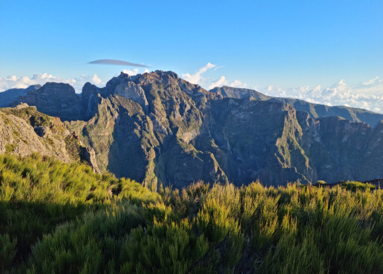Berge Madeiras mit Gras im Vordergrund